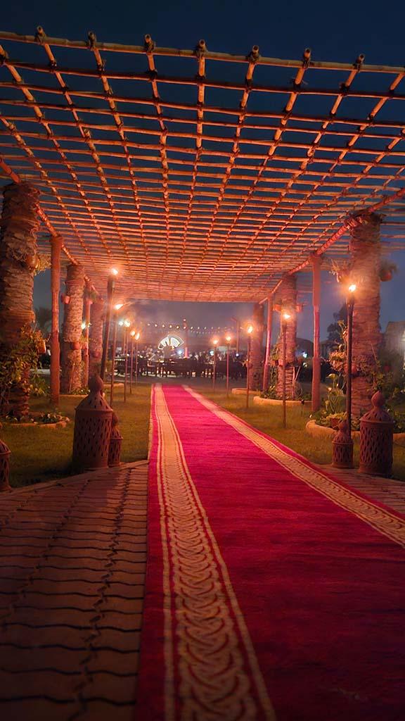 Desert Safari Experience 17
